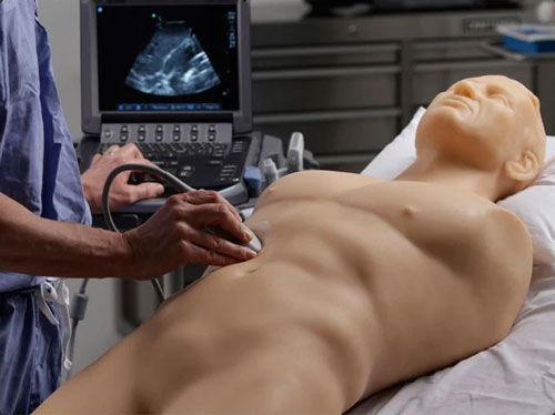 BPFAST1800創(chuàng)傷超聲重點評估訓練模型,BPFAST1800訓練模型